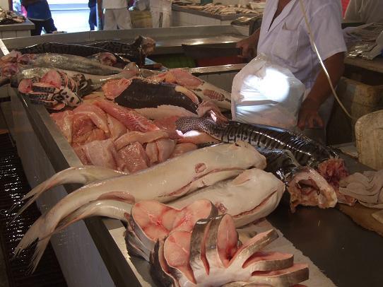 マナウス市場の魚エリア